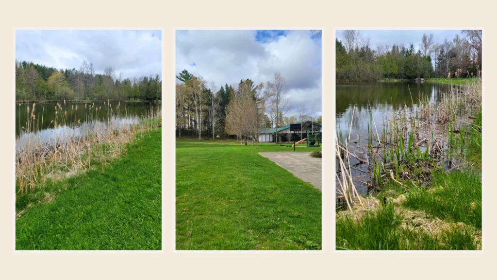 Three photographs of the pond and grounds at Hubertushaus