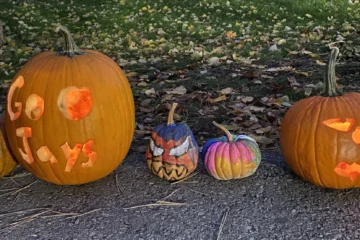 Carved orange, white and green pumpkins lined up at Silver Creek Park