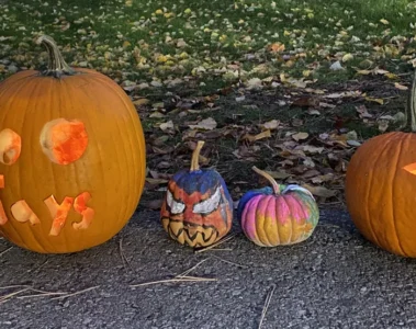 Carved orange, white and green pumpkins lined up at Silver Creek Park