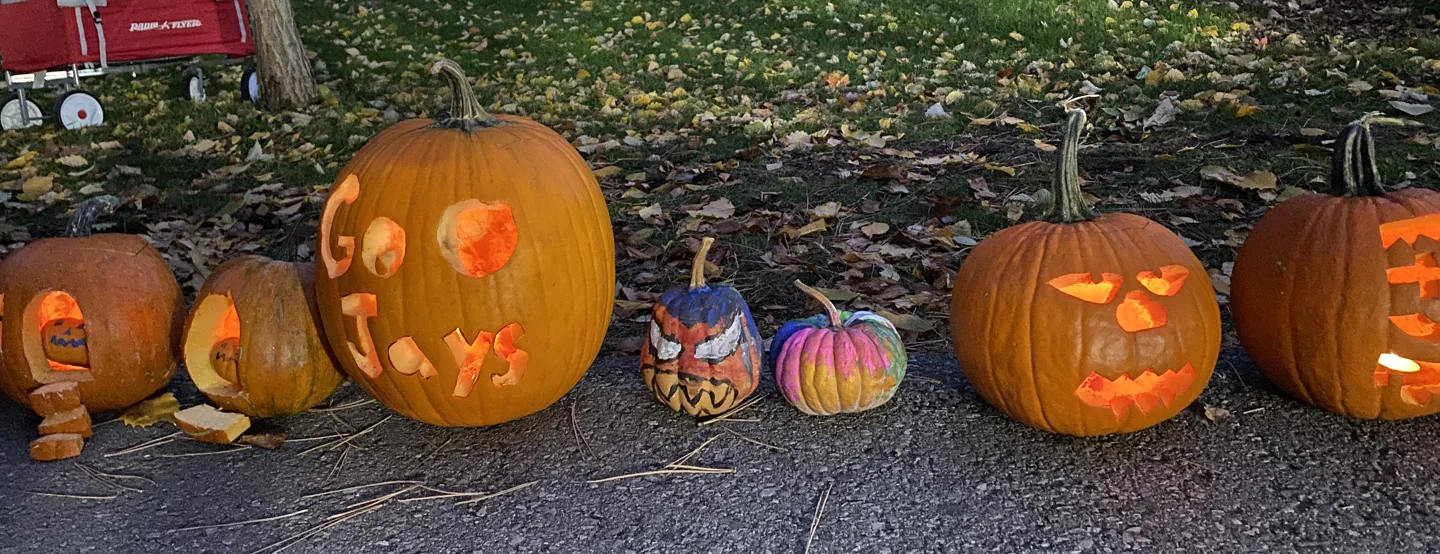 Carved orange, white and green pumpkins lined up at Silver Creek Park