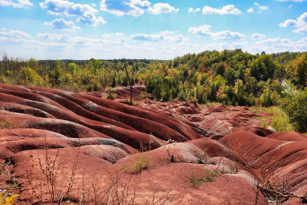 Cheltenham Badlands on the Parkbus orchard trip