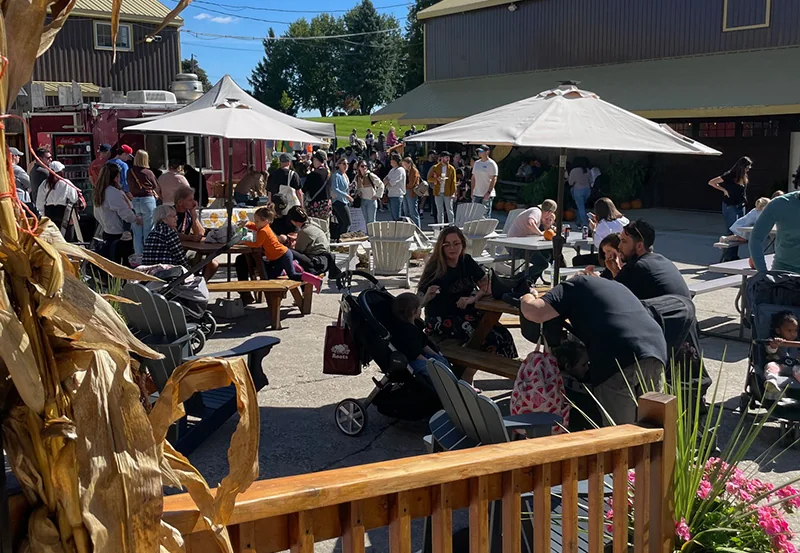 Visitors eating at picnic tables in Dyment’s farm courtyard