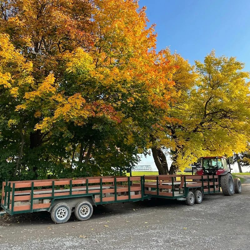 A passenger wagon beside trees with yellow autumn leaves at Dyment’s