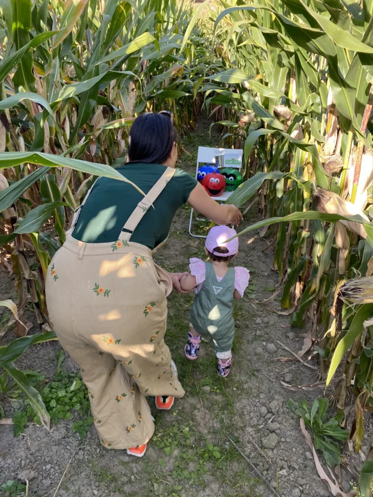 A woman and child walking along a path through corn at Campbell’s Cross Farm