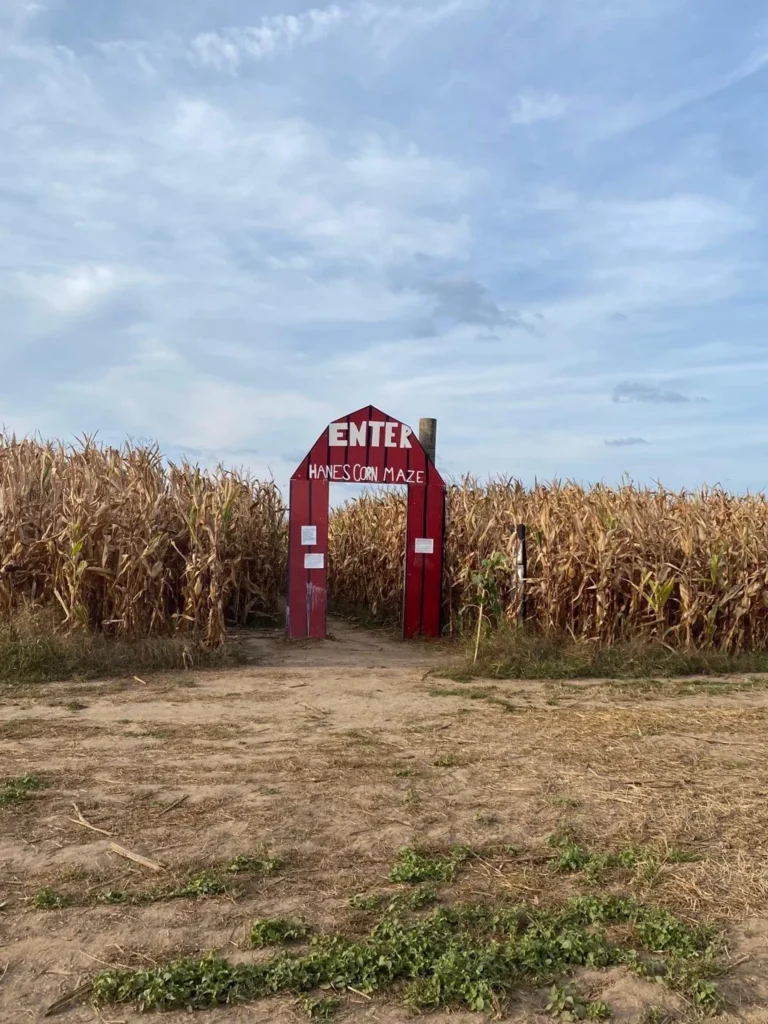 Red entrance arch at Hanes Corn Maze in Dundas