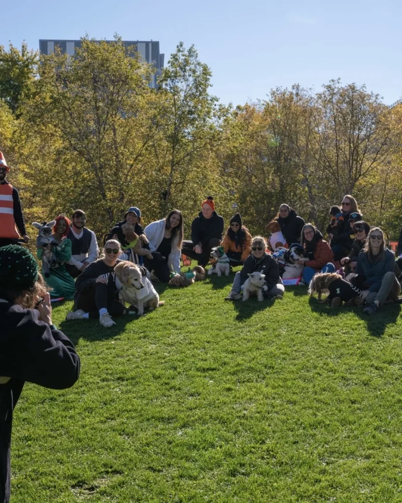 Families gathered on the grass at Joel Weeks Park during Halloween Fest