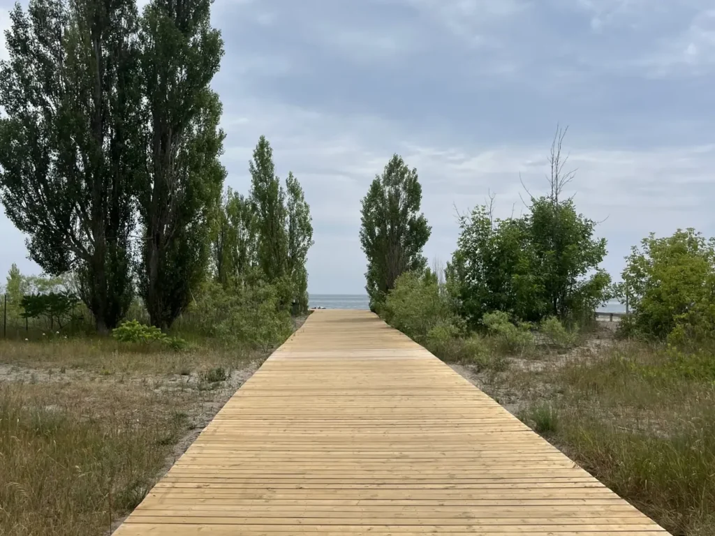 Wooden boardwalk beside trees on the Cobourg waterfront