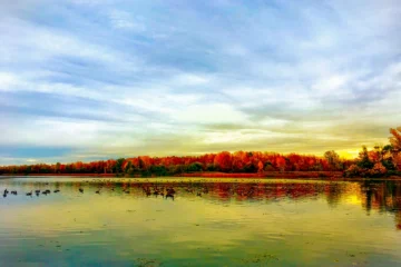 Autumn trees reflected in calm water
