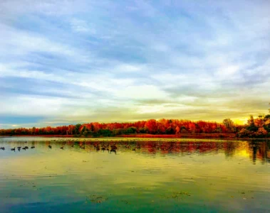 Autumn trees reflected in calm water