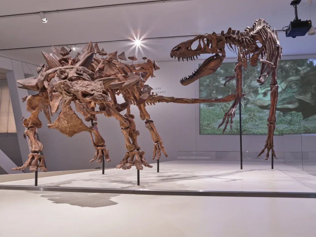 Dinosaur skeletons in the ROM dinosaur gallery