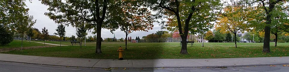 Daytime view across Sorauren Park in Toronto