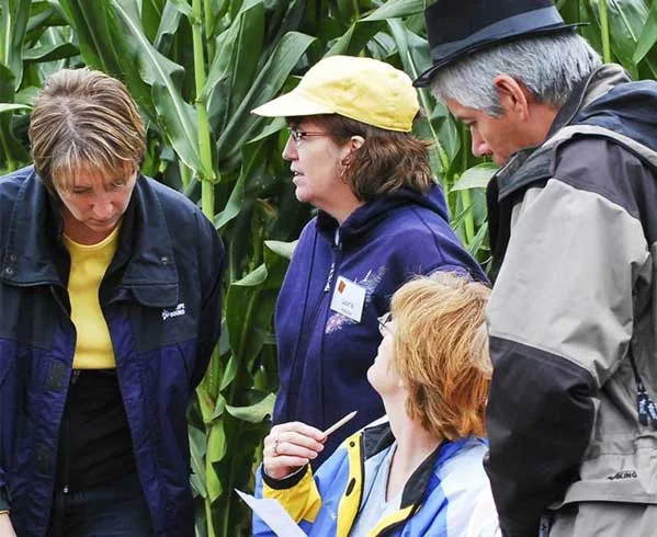 Visitors talking beside corn at Strom’s Farm