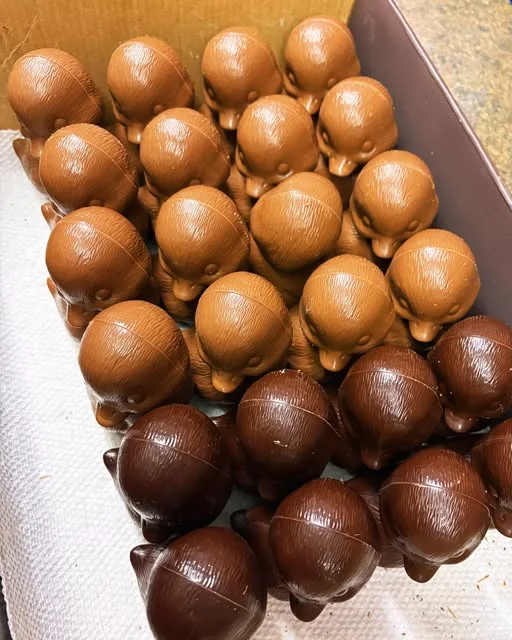A tray of milk and dark chocolate eggs