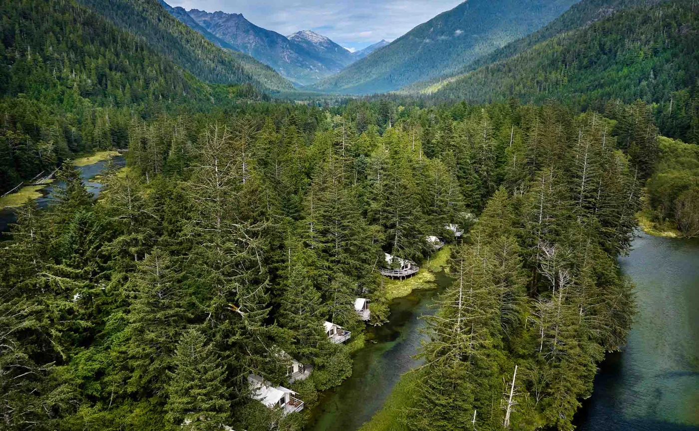 Luxury tents among forest beside a river in Clayoquot's mountain valley