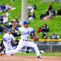 Toronto Maple Leafs baseball players during a game at Christie Pits