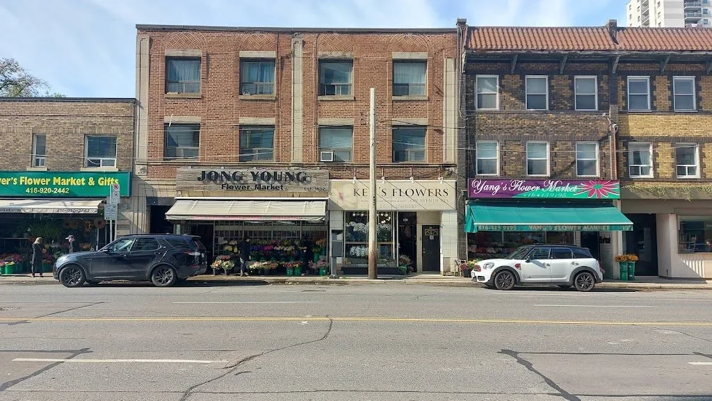 Grower’s, Jong Young, Ken’s and Yang’s flower shops beside each other on Avenue Road