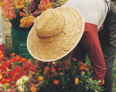 A shopper choosing flowers at Toronto Flower Market