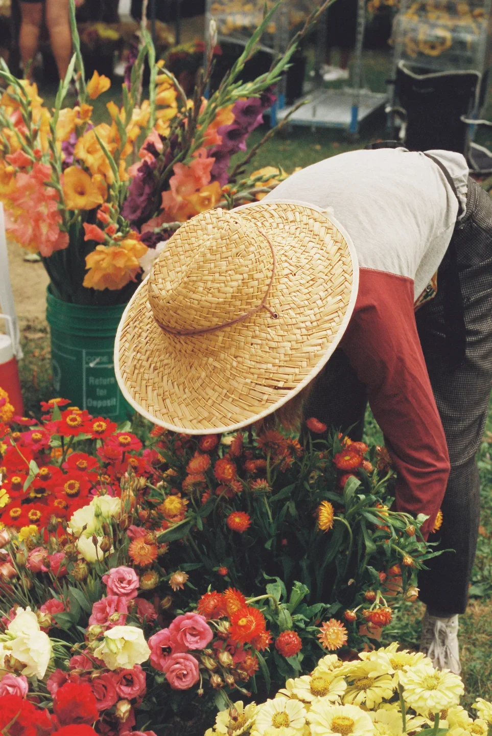 A shopper choosing flowers at Toronto Flower Market