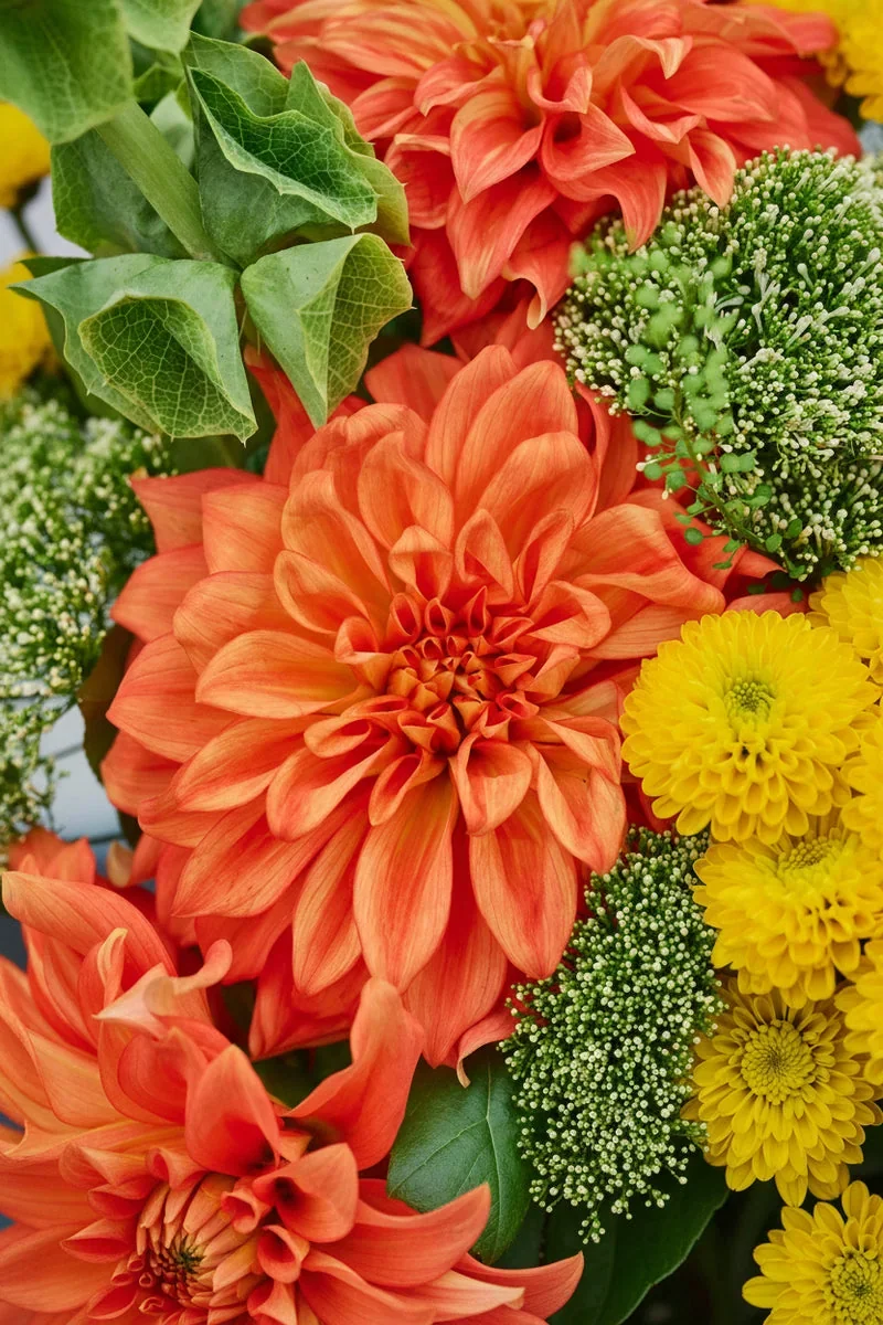 Orange dahlias and yellow blooms in Garrett Florist’s photograph