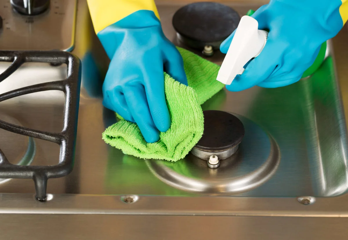 Cleaner working in a home
