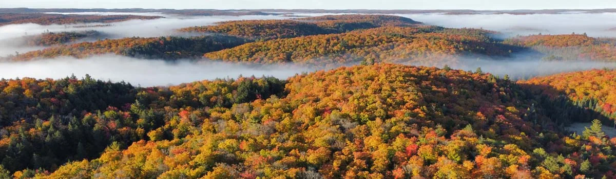 Autumn landscape in Algonquin Provincial Park
