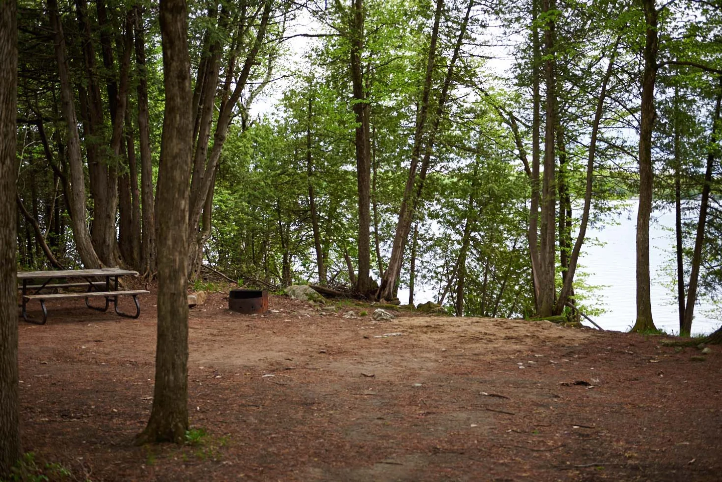 A campsite at Balsam Lake Provincial Park