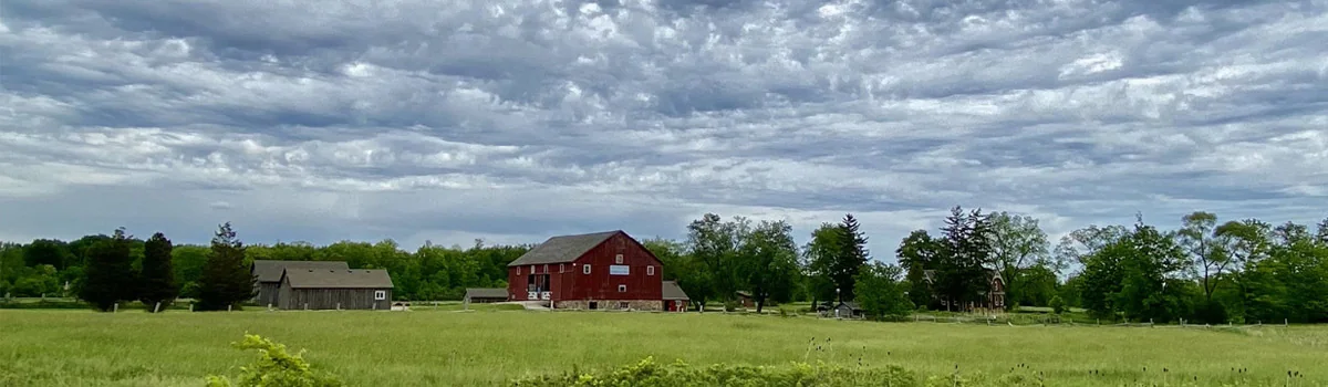BronteCreek provincial park landscape