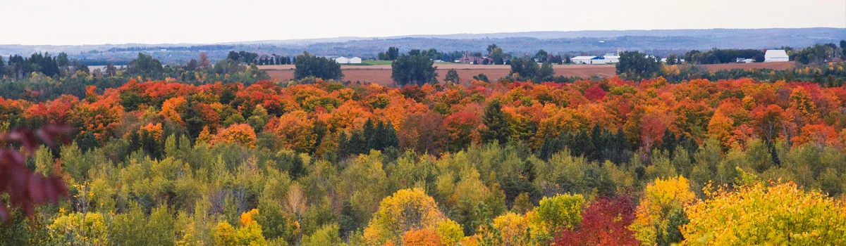 EarlRowe provincial park landscape