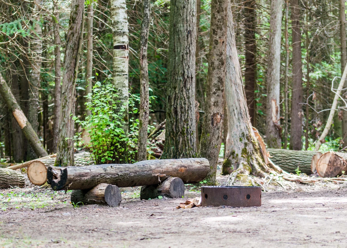 A tent campsite at Balsam Lake