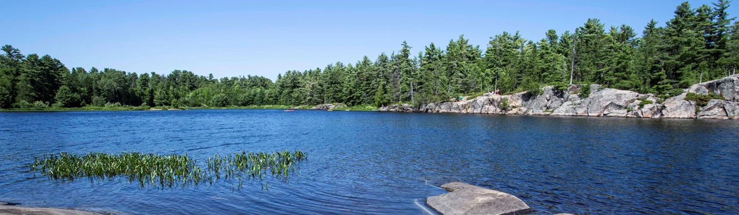 GrundyLake provincial park landscape