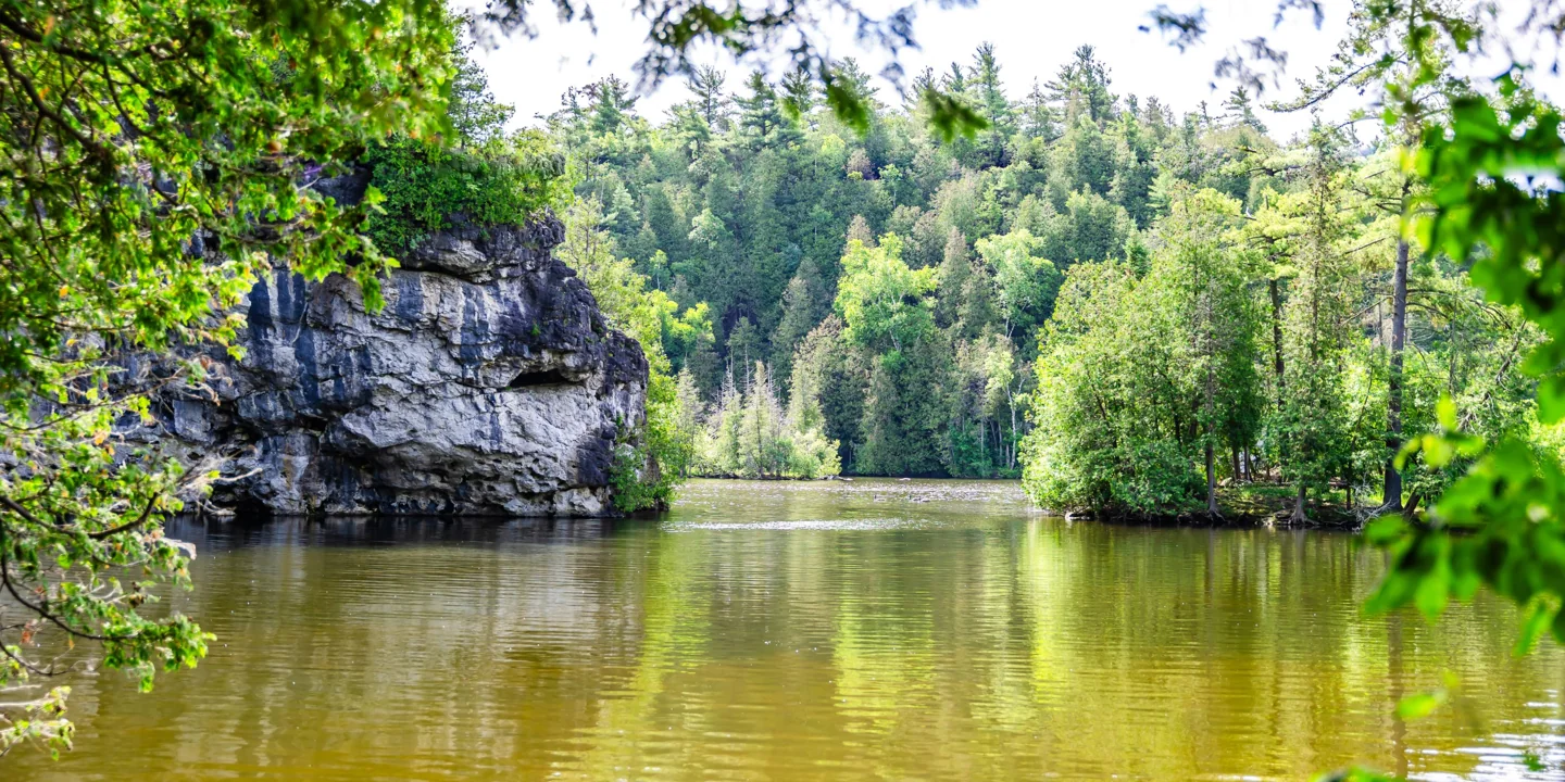Limestone cliffs and trees beside the water at Rockwood Conservation Area