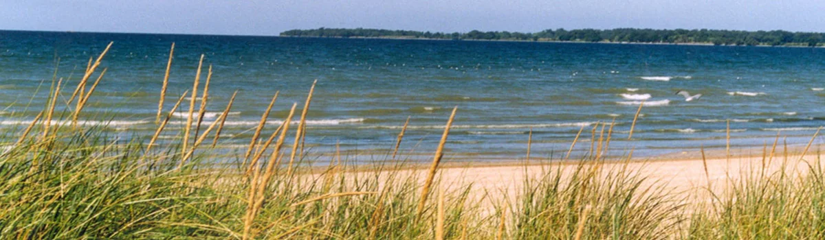 Sandbanks provincial park landscape