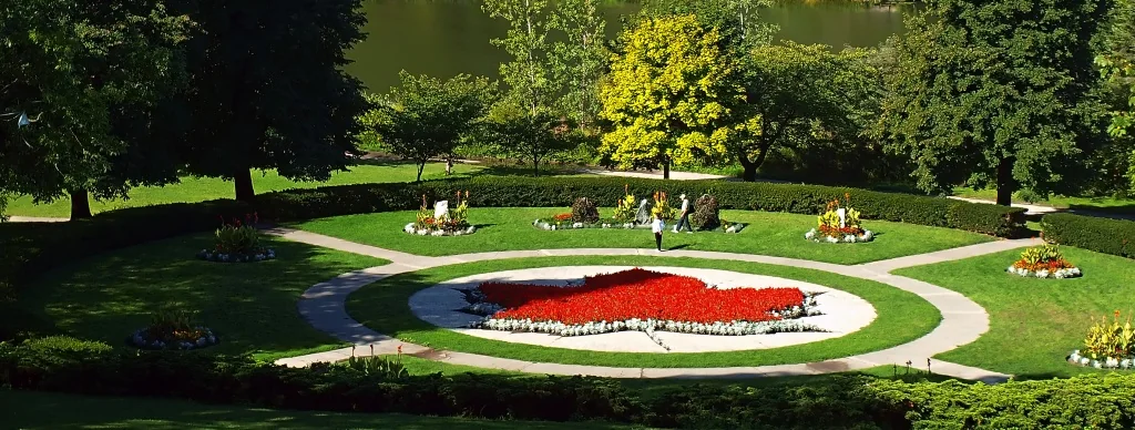 The maple leaf flower bed and green trees in High Park