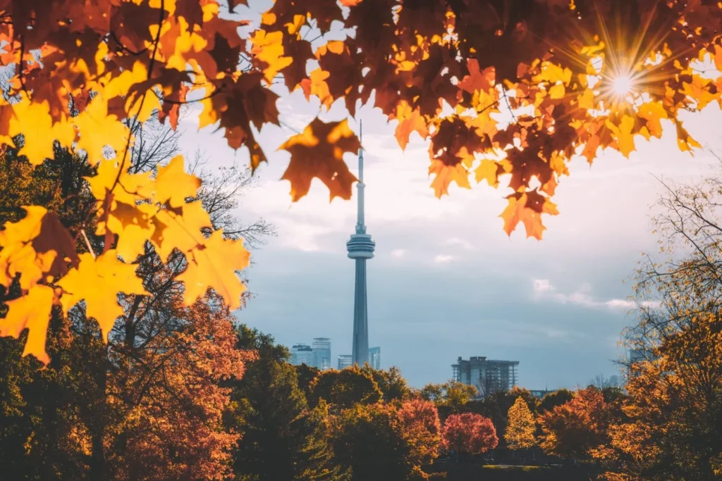 Autumn trees with the CN Tower behind them