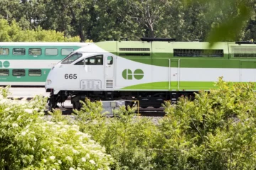 A green and white GO train travelling beside trees