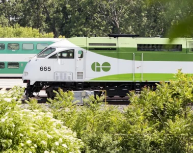 A green and white GO train travelling beside trees