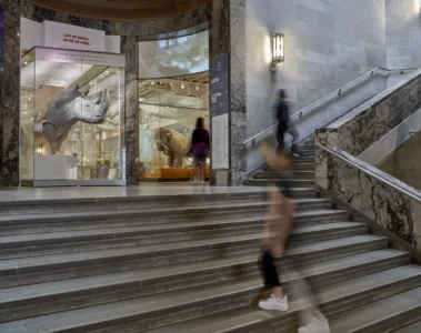 Visitors passing a dinosaur skull display beside a ROM staircase