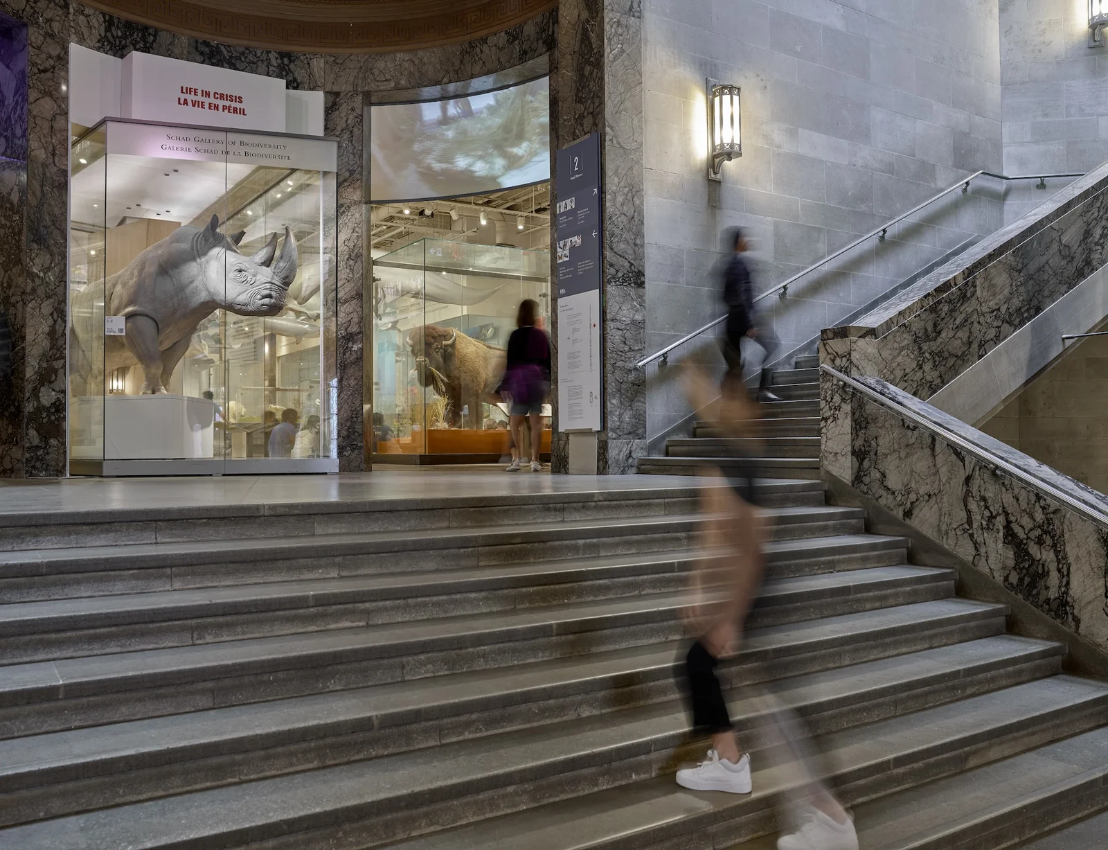 Visitors passing a dinosaur skull display beside a ROM staircase