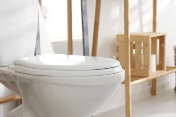 A white toilet and toilet-paper holder in a bright bathroom