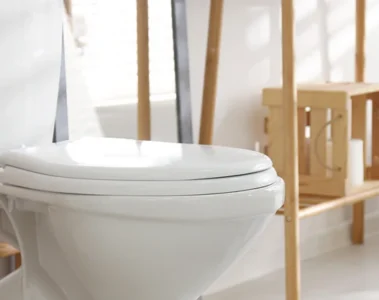 A white toilet and toilet-paper holder in a bright bathroom