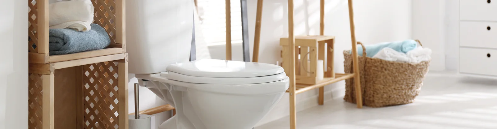 A white toilet and toilet-paper holder in a bright bathroom
