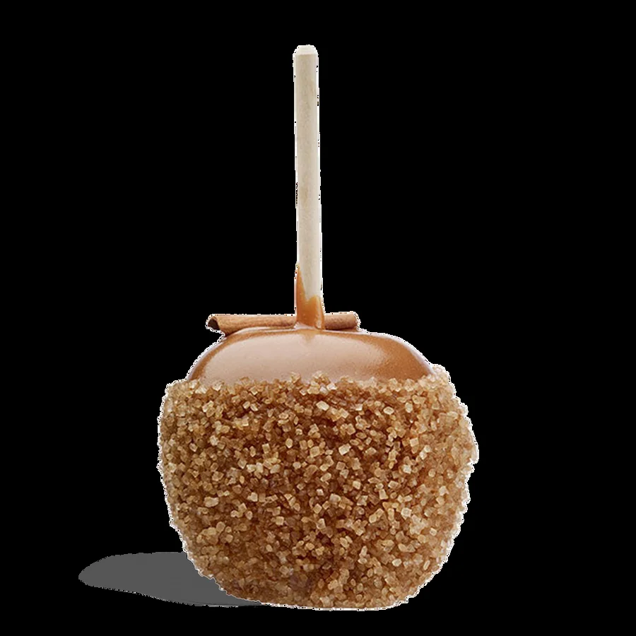 A caramel apple rolled in chopped nuts