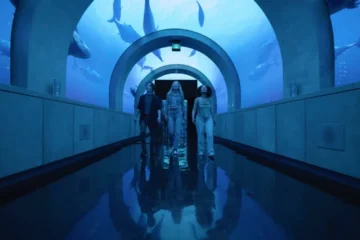 Visitors in a blue-lit room at Arcadia Earth Toronto
