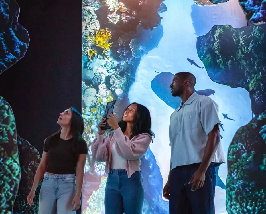 Visitors looking at projected underwater scenes at Arcadia Earth