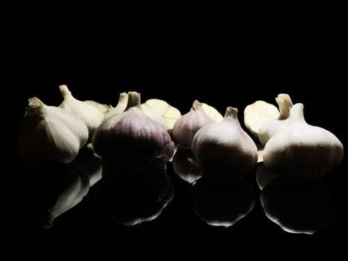 Several varieties of garlic bulbs displayed side by side