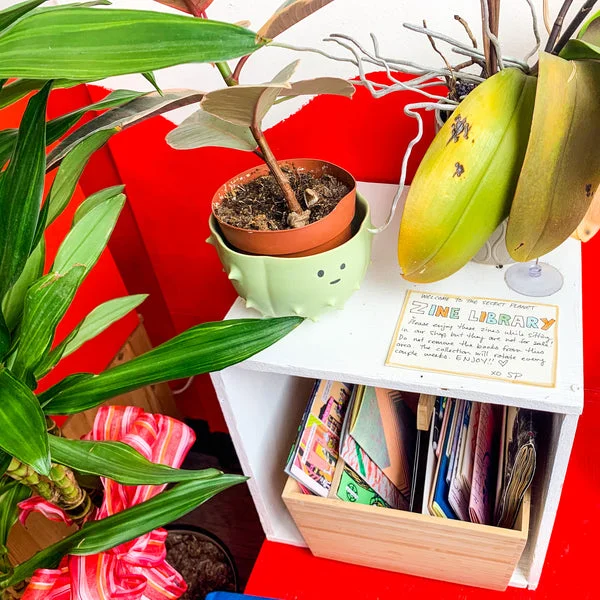 Small prints and paper goods beside plants at Secret Planet