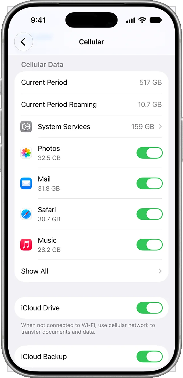 Apple’s Cellular Data screen shows how much data each app has used and switches to limit it