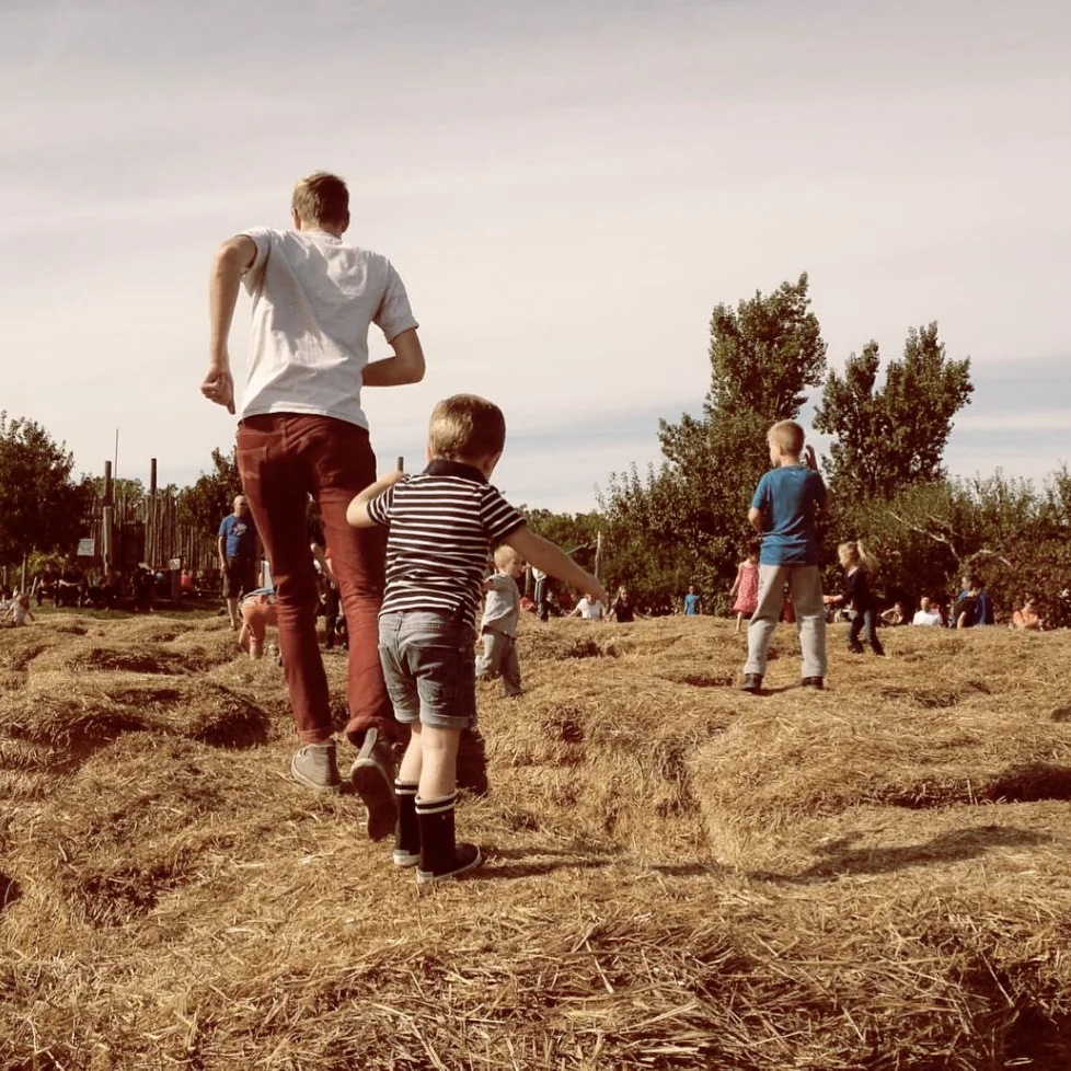 Visitors walking through Chudleigh’s farm