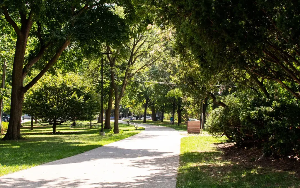 A paved path running through David A. Balfour Park, shaded by trees on both sides