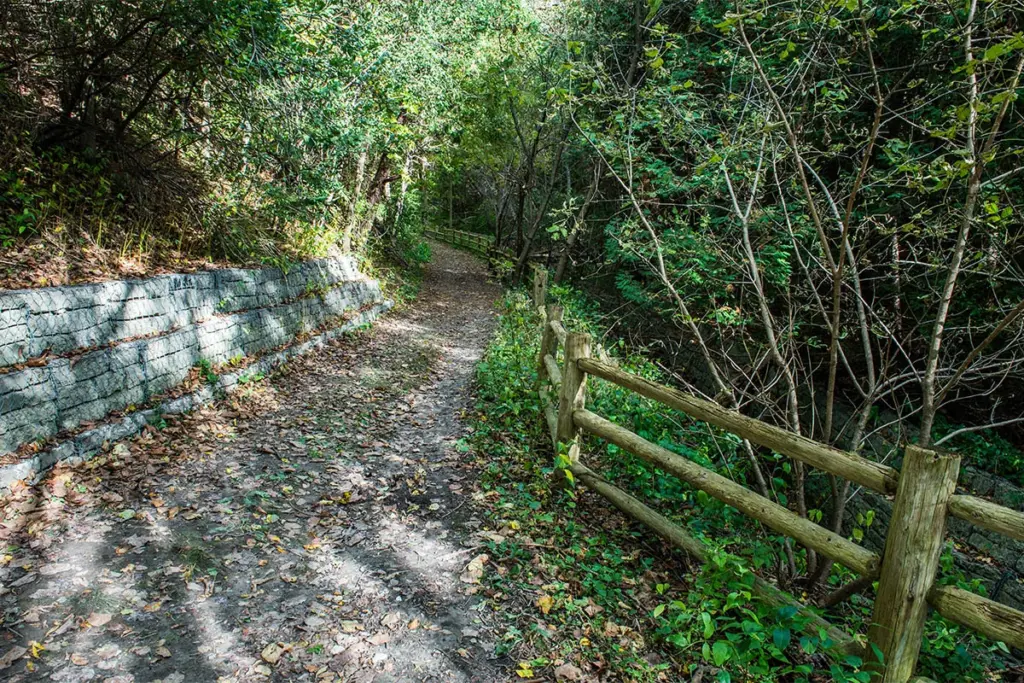 Trail through Charles Sauriol Conservation Area